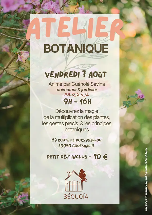 Balade-botanique